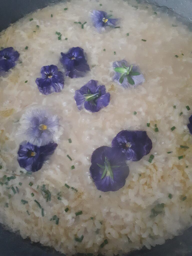 Aggiungere le viole al risotto
